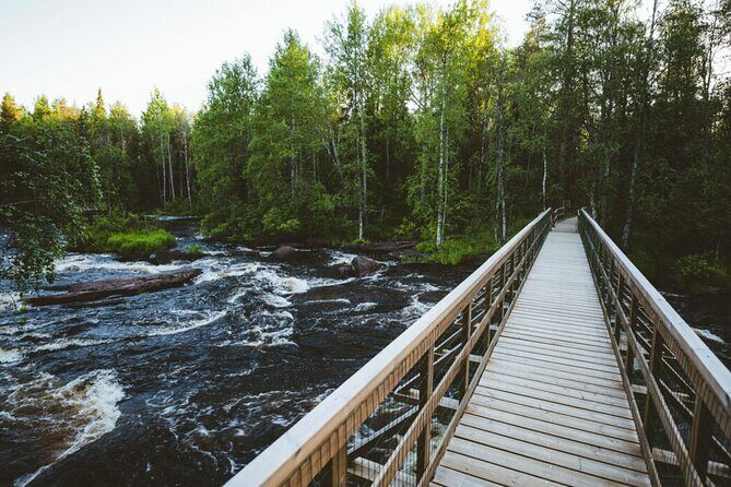 2.5 Hours Hike in Vaattunkikongas Forest Trail - Group Size and Logistics