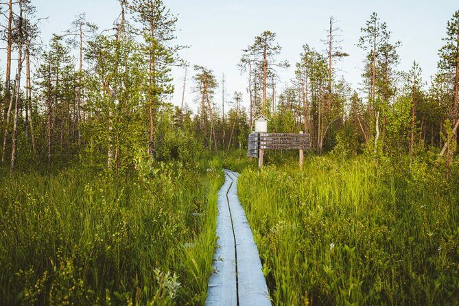 2.5 Hours Hike in Vaattunkikongas Forest Trail - Who Should Consider This Hike?