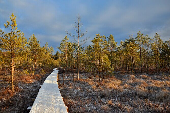 2.5 Hours Hike in Vaattunkikongas Forest Trail - The Sum Up