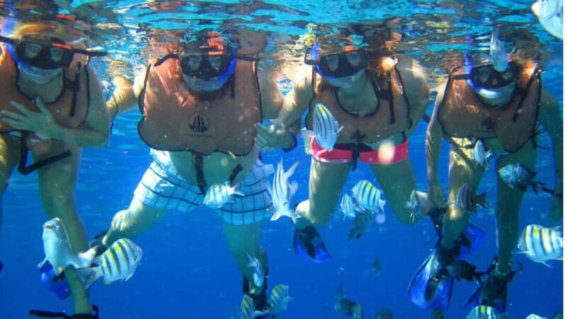2.5 hr Private Surf Lessons & Snorkeling for all Ages - The Value of a Private, Personalized Tour