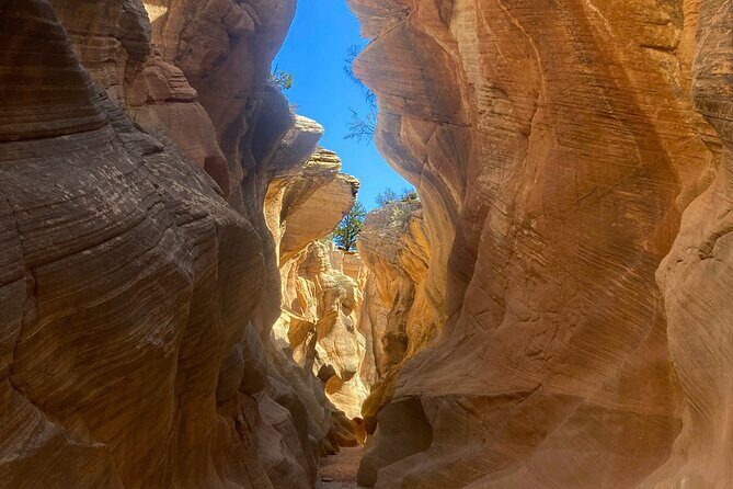 2.5hr Willis Creek/Sunset Tour Paria Valley - In-Depth Look at the Tour Experience