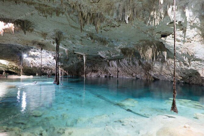 2 Cenotes Private Tour  VIP Adventure with Expert Guide - Who Should Consider This Tour?