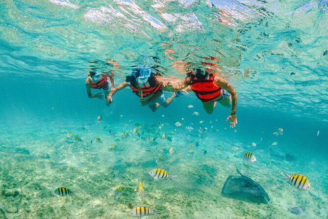 2 Day Combo Tour, Xcaret, Xel-Ha, Xplor and Chichen Itza Option - Practical Tips for Your Trip