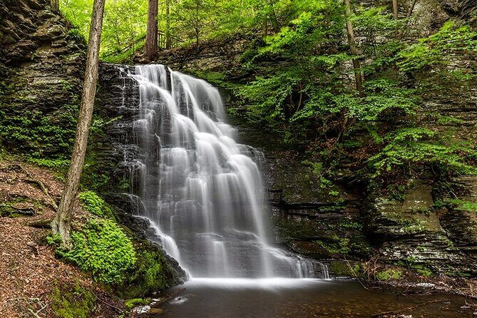2-Day Dark Sky Stargazing and Bushkill Falls Nature Tour from NYC - The Journey from NYC to Pennsylvania