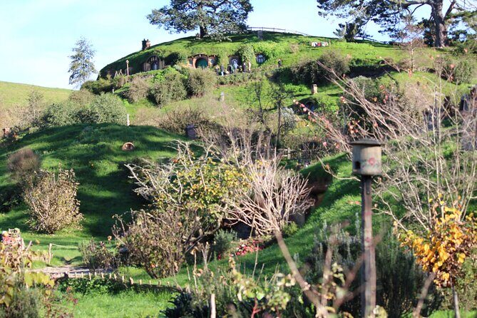2-Day Hobbiton, Rotorua, Waitomo Caves Tour from Auckland with Accommodation - An In-Depth Look at the Tour