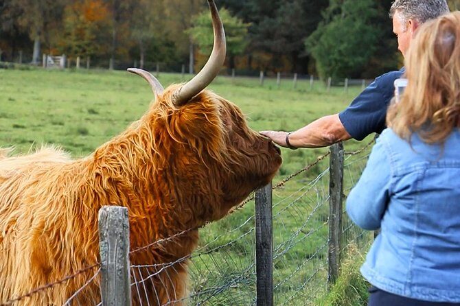 2-Day Jacobite Experience including the Hogwarts Express from Edinburgh - Exploring the Itinerary in Detail