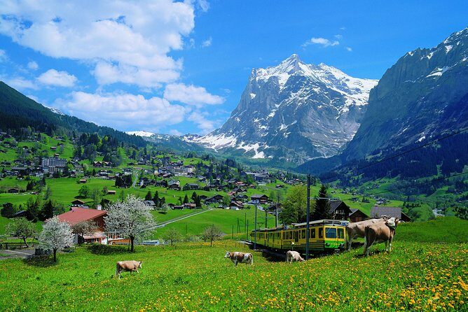 2-Day Jungfraujoch Top of Europe Tour from Zurich: Interlaken or Grindelwald - Who Should Consider This Tour?