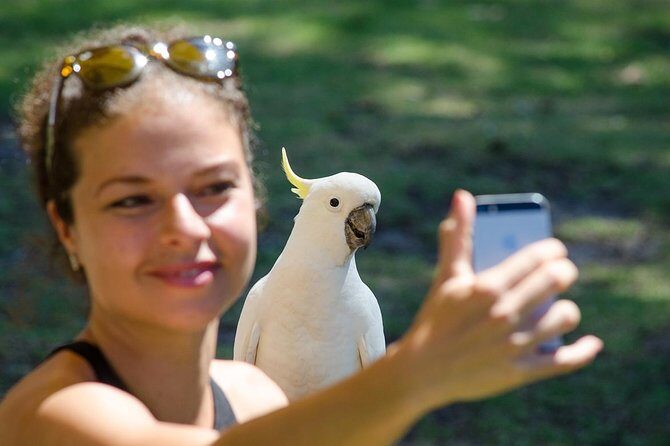 2-Day Melbourne to Adelaide Tour via Great Ocean Road Grampians - Final Thoughts