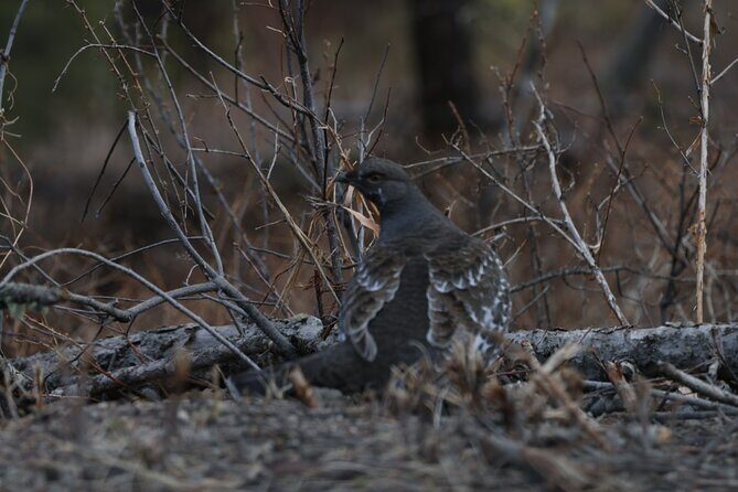 2-Day Private Tour in Yellowstone(Lower and Upper Loops w Iconic Sites) w Lunch - Final Thoughts