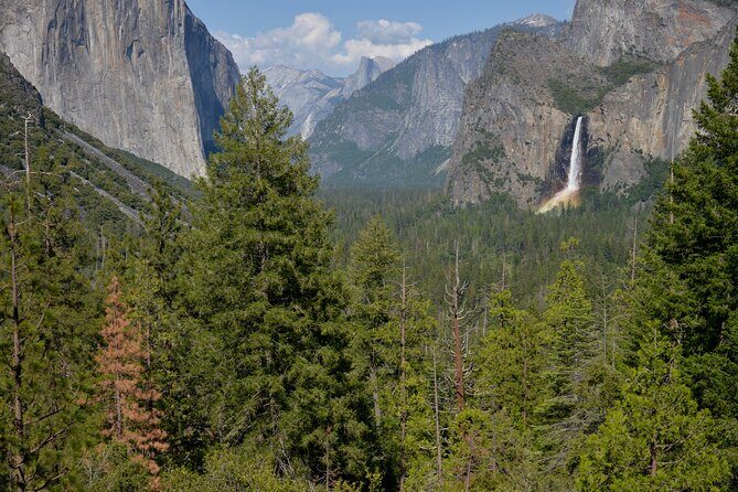 2 Day Private Tour to Yosemite National Park - Exploring the 2-Day Private Yosemite Tour from Los Angeles — An Honest Look