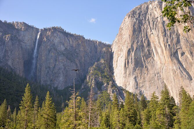 2 Day Private Tour to Yosemite National Park - FAQs