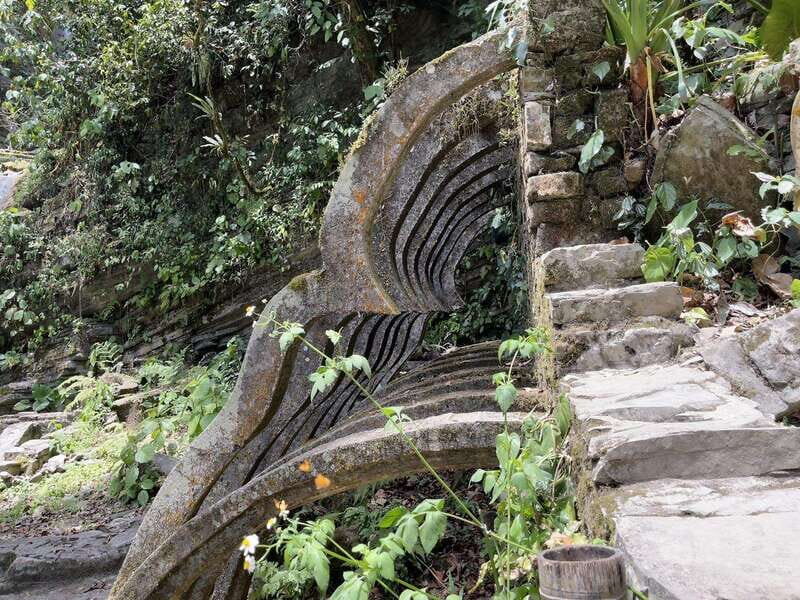 2 day tour Puente de Dios and Xilitla from San Luis Potosí - What to Expect from the Tours: A Deep Dive