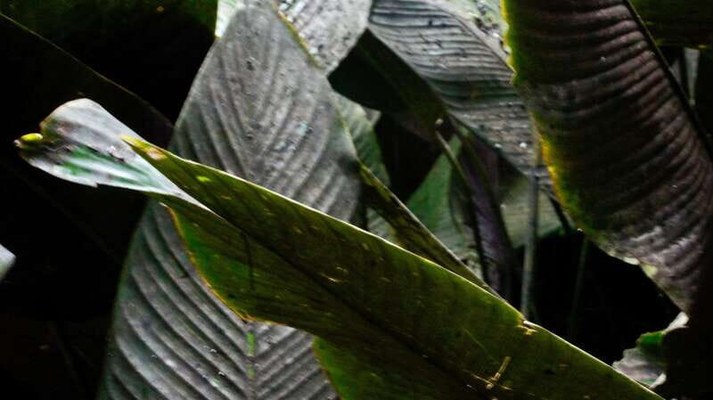 2 day tour Puente de Dios and Xilitla from San Luis Potosí - Is It Worth the Price?