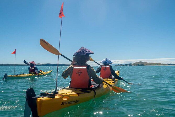 2-Day Waiheke Island Sea Kayak Tour - Day 1: From Water to Forest and Wine
