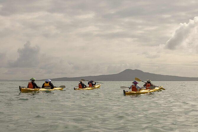 2-Day Waiheke Island Sea Kayak Tour - Who Should Consider This?