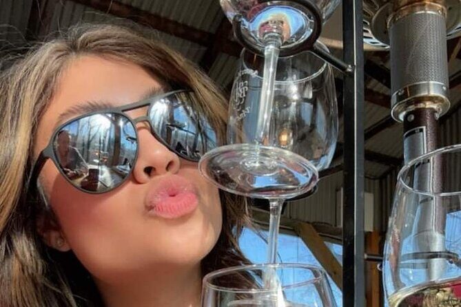 2 Day Wine Tour NON BUS Traverse City Wine Country 2 Peninsula - Final Thoughts