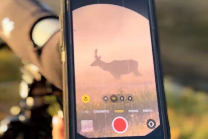 2 Day Yellowstone Safari Upper and Lower Loop Bozeman - Day 1: Geysers and Grand Views