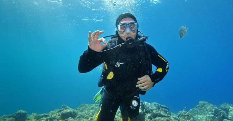 2 DAYS - 3 DIVES - The Dive Experience: What Youll Actually See and Do