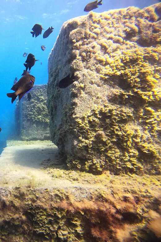 2 DAYS - 3 DIVES - The Cost and Value: Breaking Down the Price