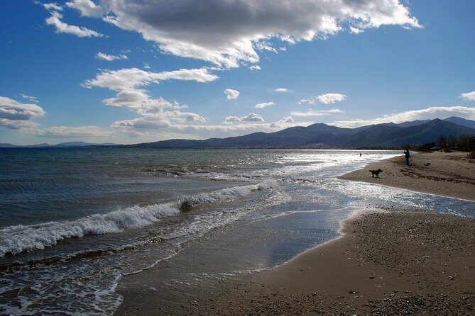 2 Days Herodotus Tour - Marathon, Thermopylae, Delphi, Thebes, Plataea, Salamis - Transportation, Cost, and Practicalities