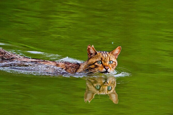 2 Days Private Tour from Bucharest to Black See and Danube Delta - Key Points