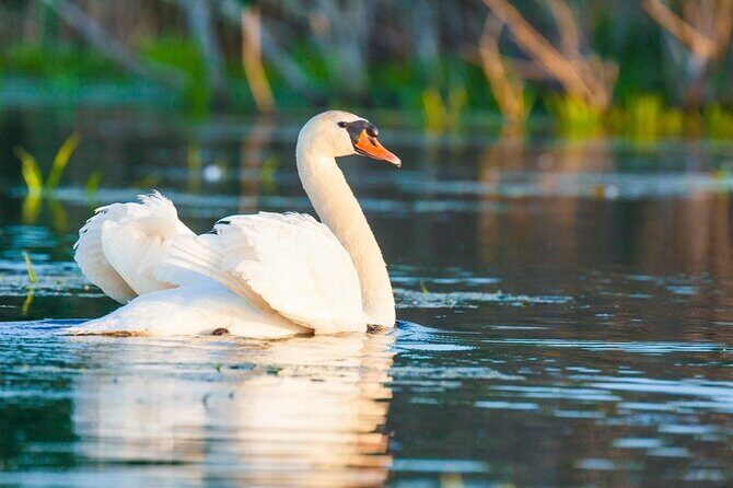 2 Days Private Tour from Bucharest to Black See and Danube Delta - FAQ: Common Questions About the Tour