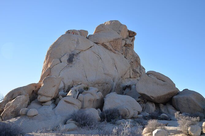 2-days Private Tour to Joshua Tree National Park from Los Angeles - Key Points