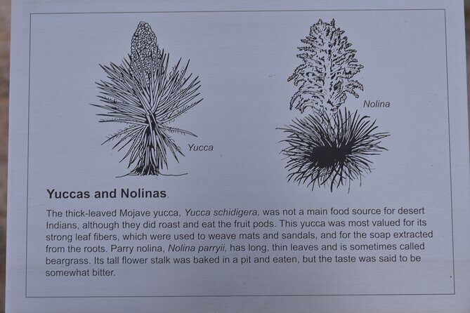 2-days Private Tour to Joshua Tree National Park from Los Angeles - Who Should Consider This Tour