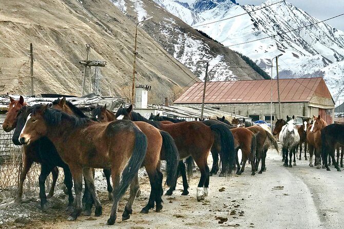 2 Days Private Tour to Kazbegi and Juta Village with Trekking - An Introduction to the Tour Experience