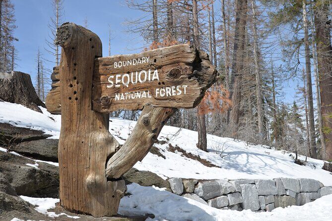 2 Days Private Tour to Sequoia and Kings Canyon Parks from LA - Who Is This Tour Best Suited For?