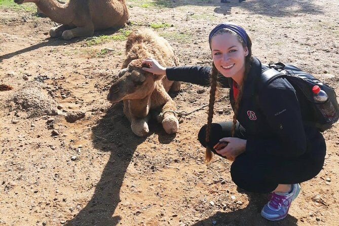 2 Days Tangier (Morocco) Trip from Seville - Key Points