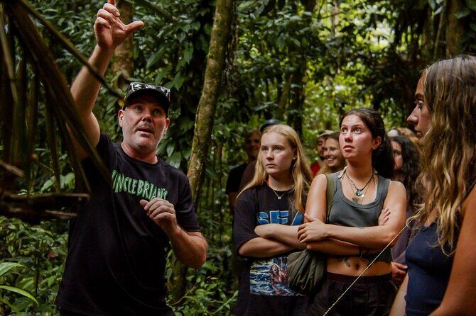 2 Days Tour on Atherton Tablelands and Cape Tribbin - Transportation, Group Size, and Overall Experience