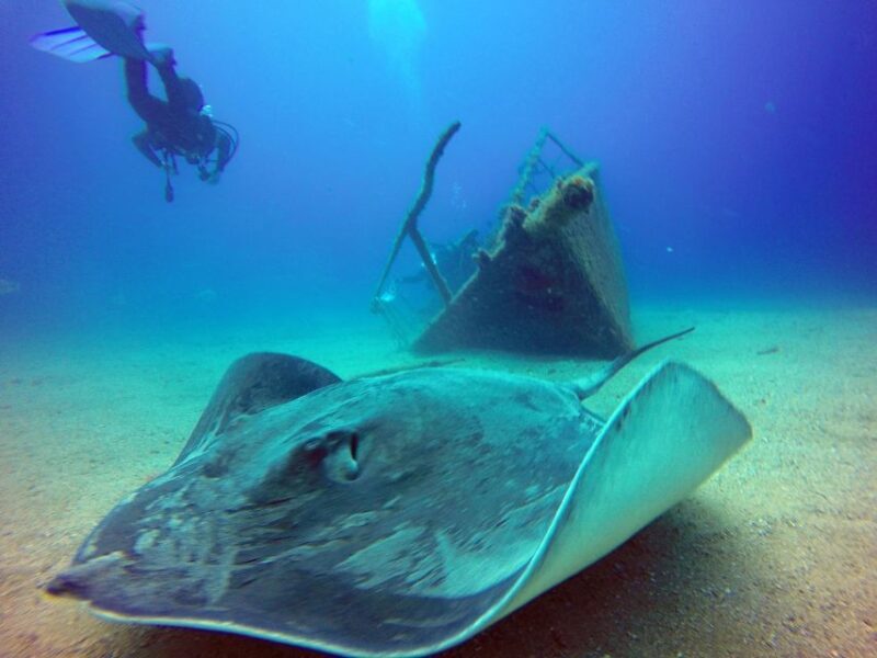 2-Dive Guided Scuba Diving For Qualified Divers - FAQs