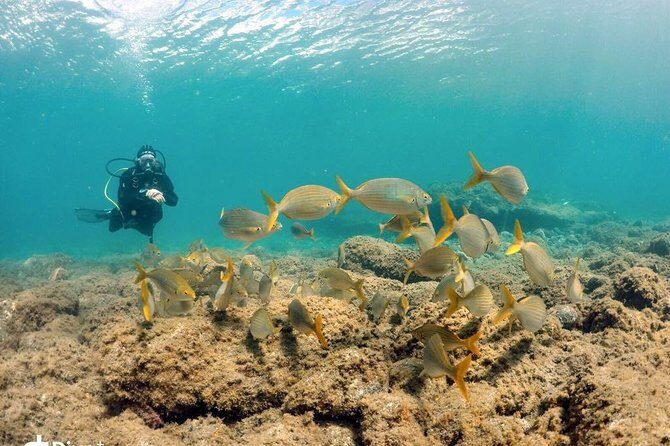 2 Dive Package for Qualified Divers in Gran Canaria - What’s in the Tour?