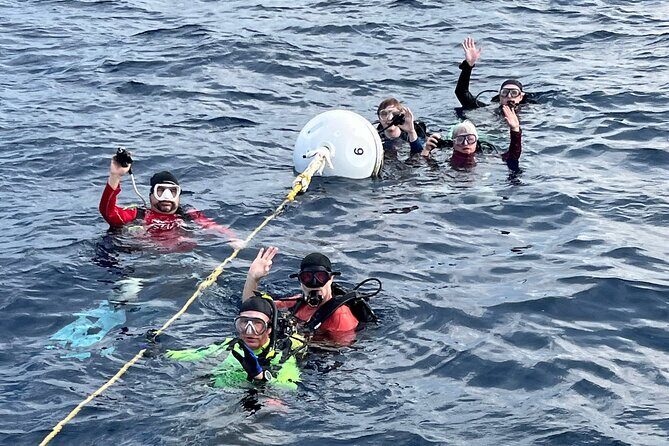 2 Dive Scuba Diving Reef Excursion to Key Largo Marine Sanctuary - FAQ