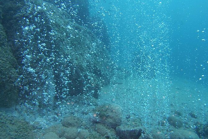 2 Dives Package - What to Expect from the Tour