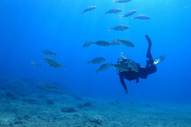 2 Dives Package - Final Thoughts