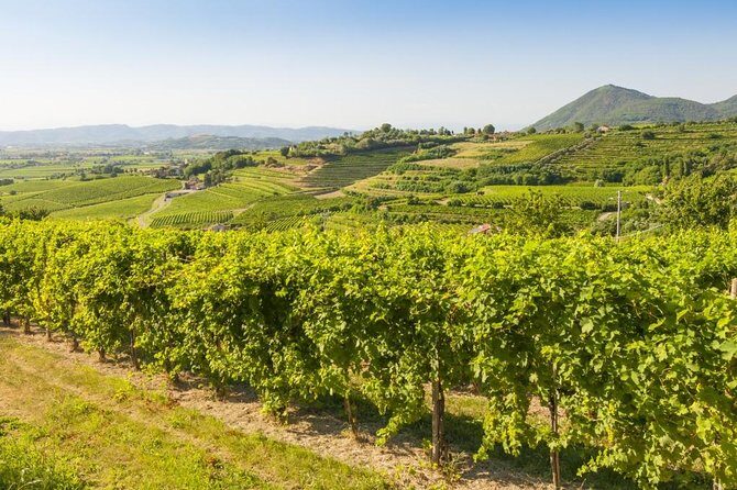 2 Guests Private Prosecco Road Tour All Inclusive from Conegliano - What Travelers Say