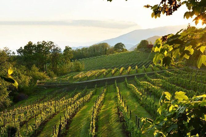2 Guests Private Prosecco Road Tour All Inclusive from Conegliano - FAQs