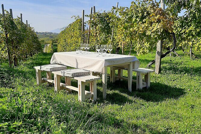 2 Guests Private Prosecco Road Tour All Inclusive from Venice - The Itinerary in Detail