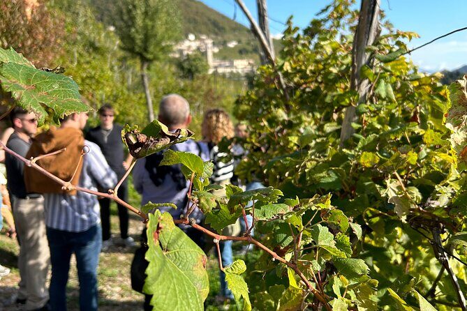 2 Guests Private Prosecco Road Tour All Inclusive from Venice - FAQ