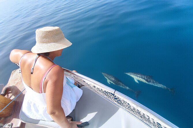 2 h Estepona Bay Tour - A Close-Up Look at the 2-Hour Estepona Bay Tour