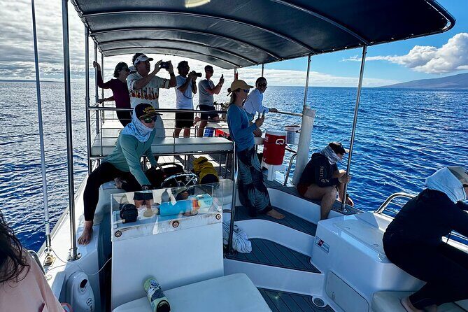 2 Hour Afternoon Lahaina Whale Watch - Duration, Group Size, and Pricing