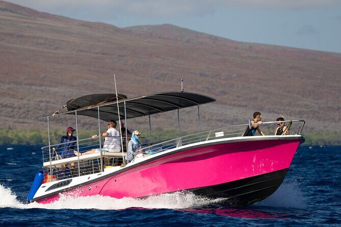 2 Hour Afternoon Lahaina Whale Watch - What Travelers Are Saying