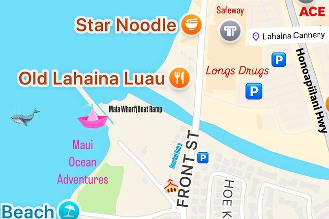 2 Hour Afternoon Lahaina Whale Watch - Ideal for Whales and Scenic Lovers