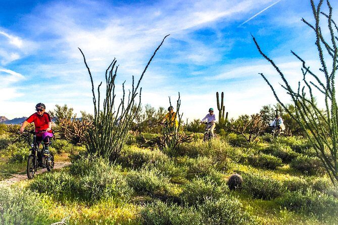 2-Hour Arizona Desert Guided E-Bike Tour - An In-Depth Look at the 2-Hour Arizona Desert Guided E-Bike Tour