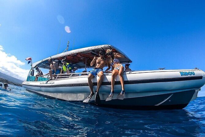 2 Hour Big Island Dolphin Watching and Sea Turtle Snorkel Tour - The Value and Price