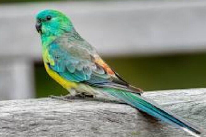 2-Hour Botanic Garden Tour in Akoursos - The Experience for Different Travelers