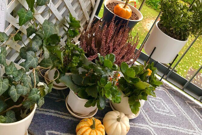 2-Hour Breakfast Experience in a Home from Warsaw - Final Thoughts