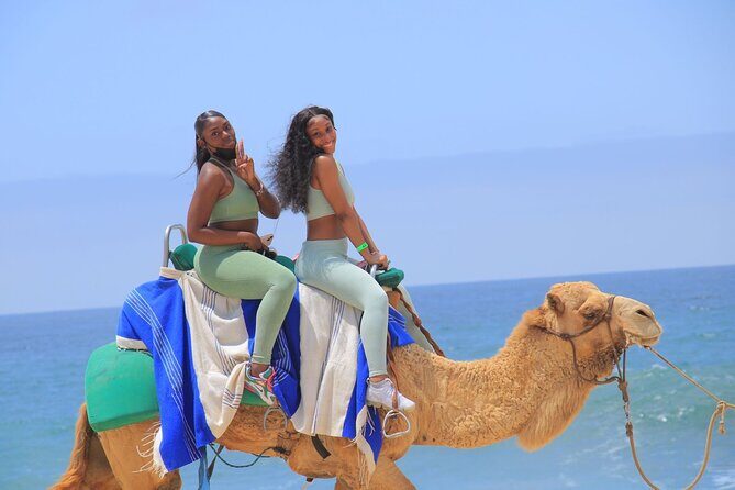 2-Hour Camel Ride Beach and Desert Adventure Experience - The Experience: What’s It Really Like?
